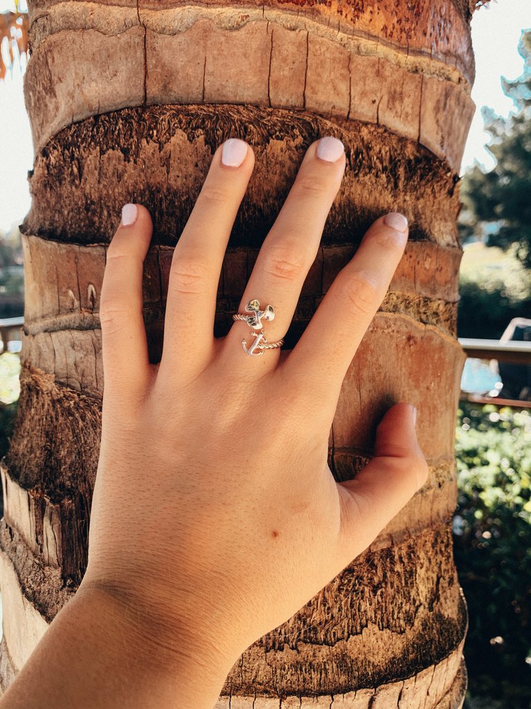 Propeller Anchor Bypass Ring (adjustable)